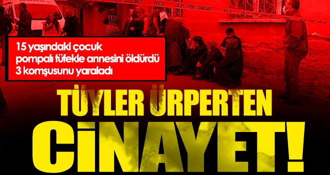 Vahşet! 15 yaşındaki çocuk pompalı tüfekle annesini öldürdü