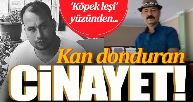 Vahşet! Komşusunu tarlasına 'köpek leşi' attı diye...