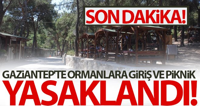 Vali Gül duyurdu! Ormanlara giriş-çıkışlar yasaklandı