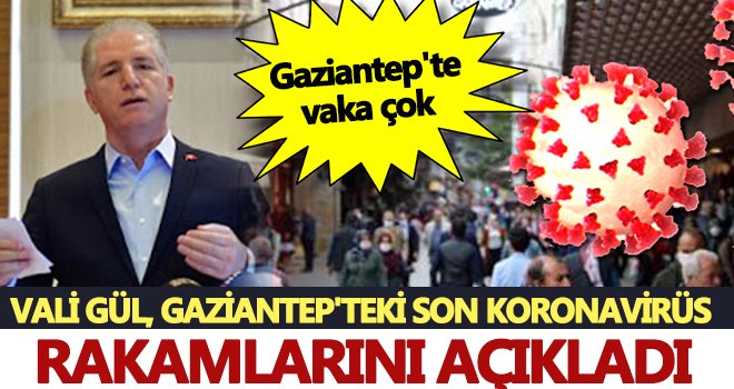 Vali Gül: Türkiye'de vakalar düştü, Gaziantep'te düşmedi