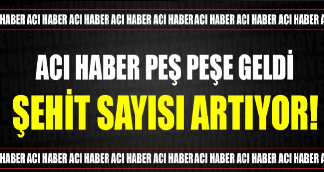 Van ve Mardin'de hain saldırı: 11 şehit 4 yaralı