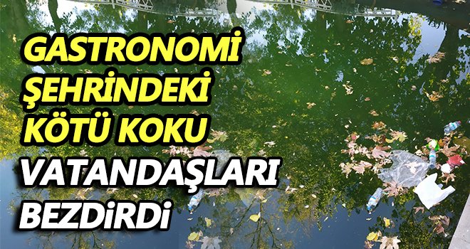 Vatandaşlar Alleben Deresi’nin ıslah edilmesini istiyor