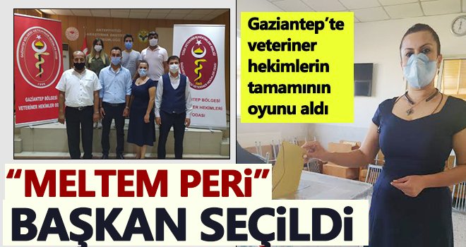 Veteriner Hekimler Odasında seçim heyecanı: Peri başkan seçildi