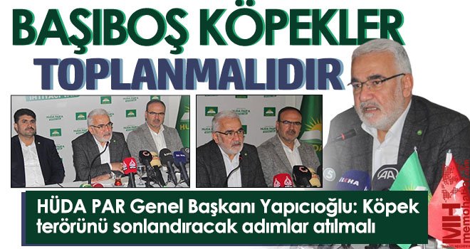 Yapıcıoğlu: Köpek terörünü sonlandıracak adımlar atılmalı
