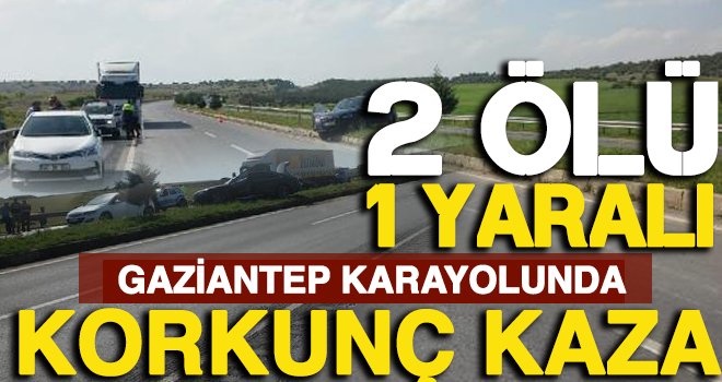 Yardım için aracından indi trafik terörüne kurban gitti