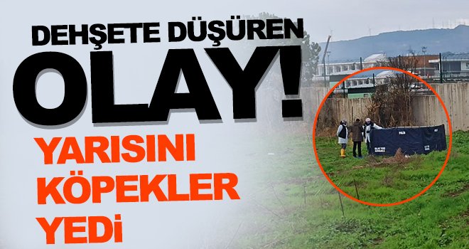 Yarısı köpekler tarafından parçalanmış erkek cesedi bulundu