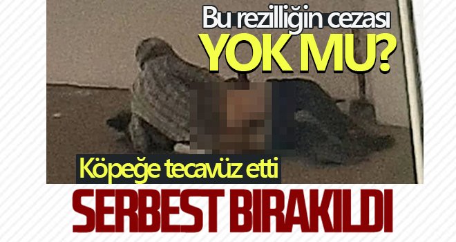 Yaşlı adam köpeğe tecavüz etti, mahkeme serbest bıraktı!