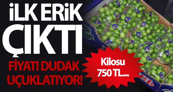 Yeşil erik, çeyrek altın fiyatınıda geçti!..