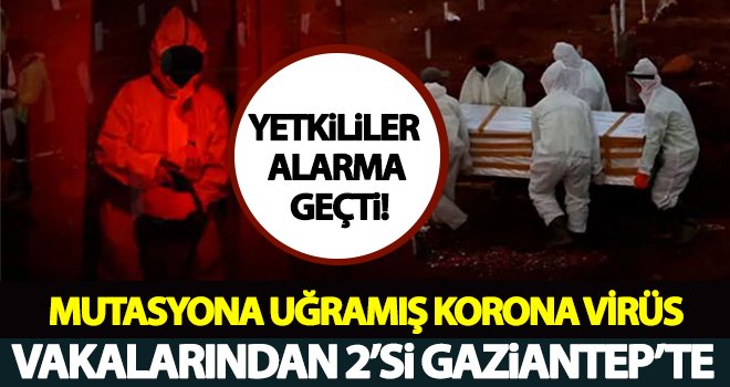 Yetkililer alarma geçti! Mutasyonlu virüsün 2 ’si Gaziantep’te