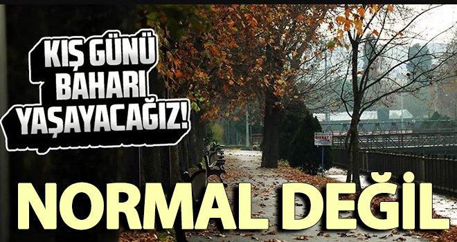 Yılbaşında bahar havası! Korkutan açıklama