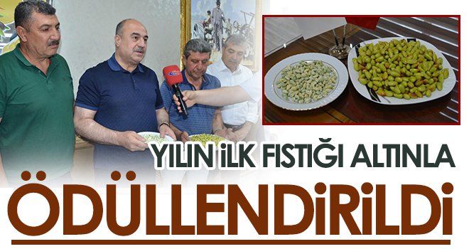 Yılın İlk Fıstığı Altınla Ödüllendirildi