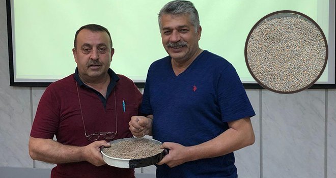 Yılın ilk mercimeği GTB'de işlem gördü