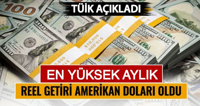 Yıllık getiride şampiyon yine Dolar