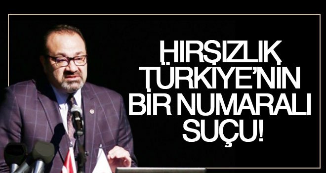 Yılmazkaya: 1,5 milyon asayiş olayının üçte biri hırsızlık