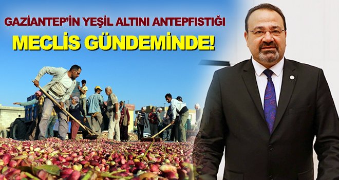 Yılmazkaya: Girdi maliyetleri yüksek üretici zararda 