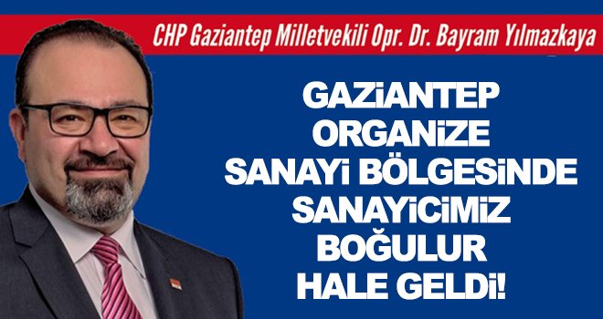 Yılmazkaya: Sanayici sadece devlete çalışıyor!