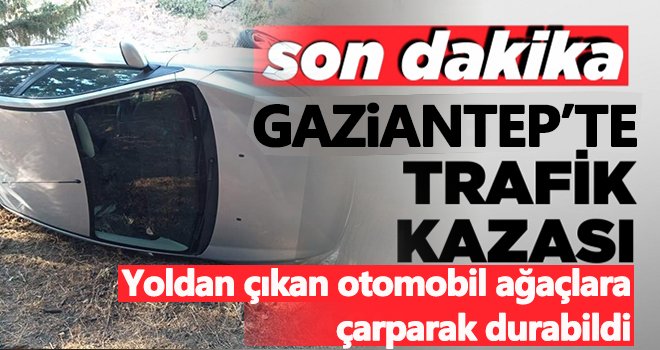 Yoldan çıkan otomobil ağaçlara çarparak durabildi