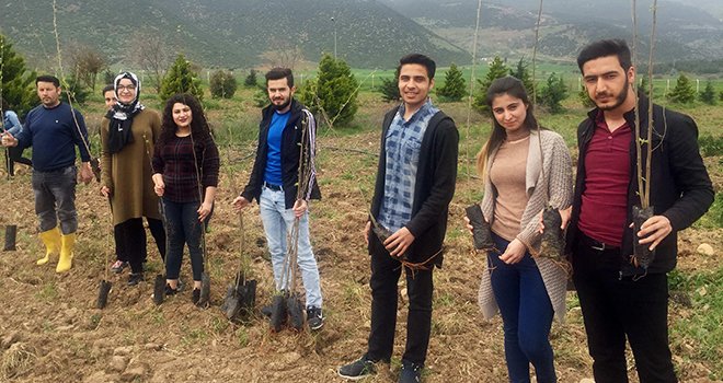 Yüksekokulu öğrencileri Nevruzu ağaç dikerek kutladı