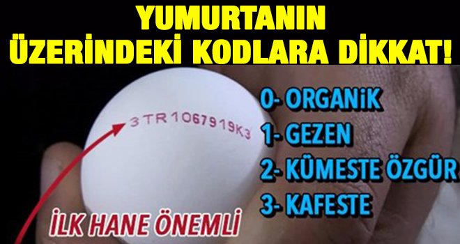 Yumurtaların üzerindeki kodlara dikkat!