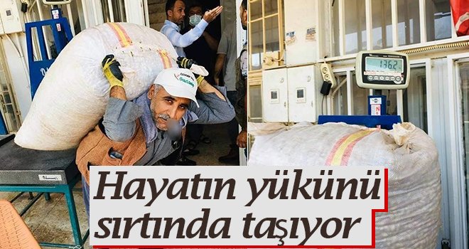 Yüzlerce çuvalı sırtında taşıyarak hayatını kazanıyor