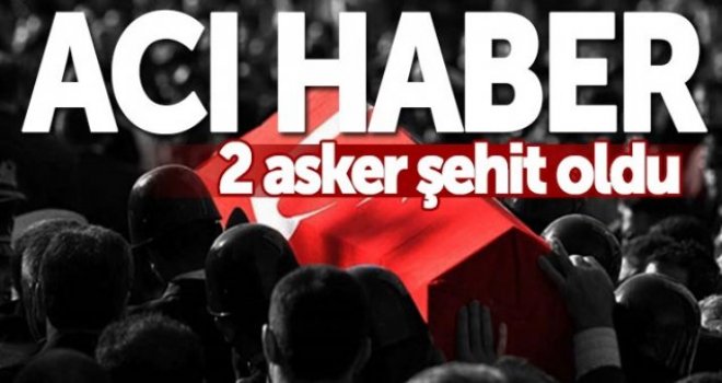 Zeytin Dalı Harekat bölgesinde 2 asker şehit oldu