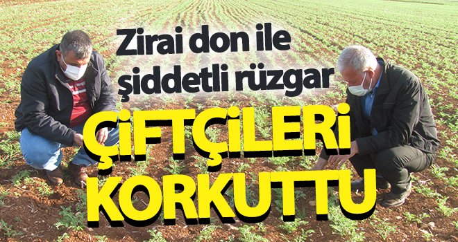 Zirai don ile şiddetli rüzgar çiftçileri korkuttu