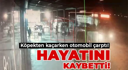 Köpekten kaçarken otomobilin çarptığı üniversite öğrencisinin son görüntüsü ortaya çıktı